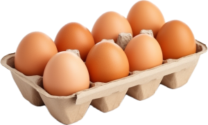 vecteezy_ai-generated-egg-in-carton-png_35642273